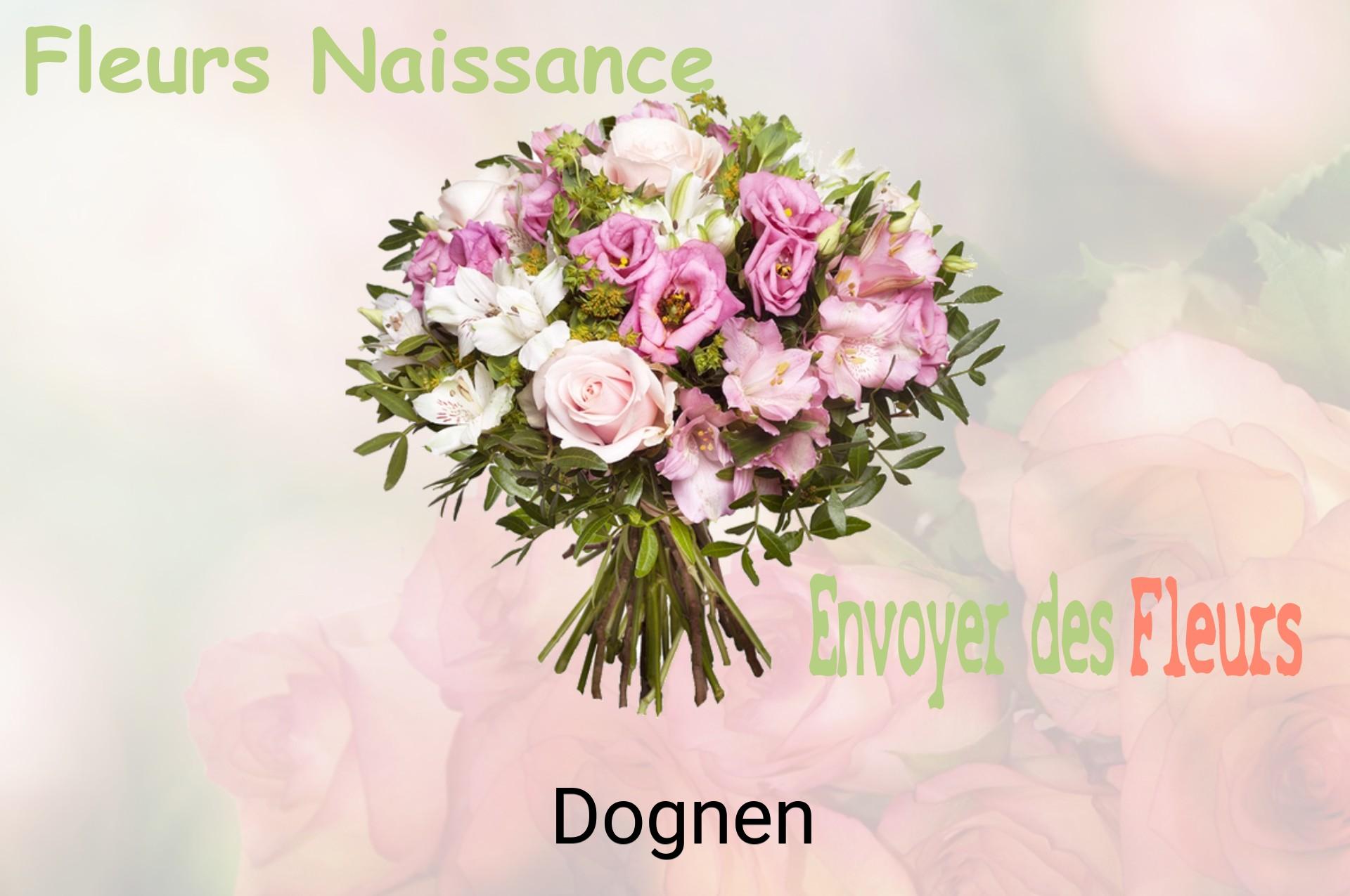 Bouquet de fleurs de naissance livré à Dognen